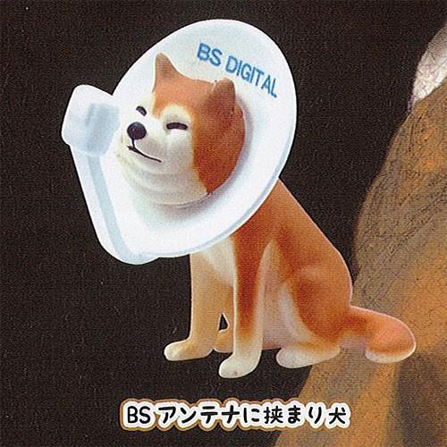 挟まり 犬 マスコット ボールチェーン 2 1 Bsアンテナに挟まり犬 Qualia ガチャポン ガチャガチャ ガシャポン Gt01 遊you 通販 Yahoo ショッピング