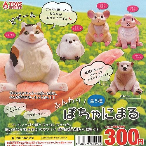 ふんわり ぽちゃにまる 全5種 ディスプレイ台紙セット トイズスピリッツ 動物 フィギュア ガチャポン ガチャガチャ ガシャポン G0148s02t 遊you 通販 Yahoo ショッピング