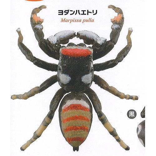 海洋堂 カプセルQ ミュージアム 日本の 蜘蛛 ストラップ