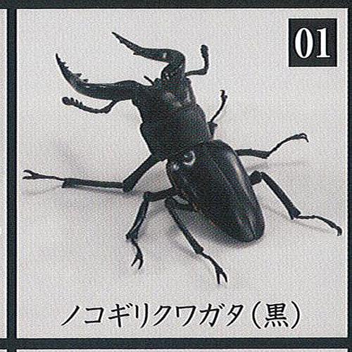 くわがた Kuwagata 1 ノコギリクワガタ 黒 バンダイ ガチャポン ガチャガチャ ガシャポン G105at01 遊you 通販 Yahoo ショッピング