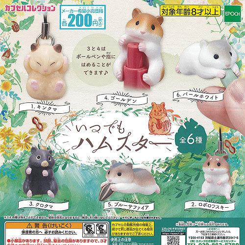 いつでも ハムスター 全6種セット エポック社 ガチャポン ガチャガチャ ガシャポン G121ts01 遊you 通販 Yahoo ショッピング