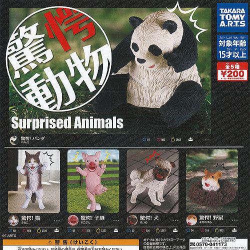 驚愕 動物 全5種セット タカラトミーアーツ フィギュア ガチャポン ガチャガチャ ガシャポン G210ys01t 遊you 通販 Yahoo ショッピング