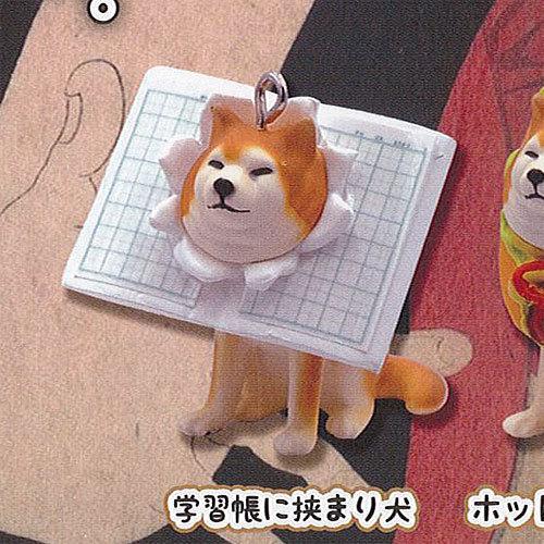 挟まり 犬 3 マスコット ボールチェーン 1 学習帳に挟まり犬 Qualia ガチャポン ガチャガチャ ガシャポン Gt01 遊you 通販 Yahoo ショッピング