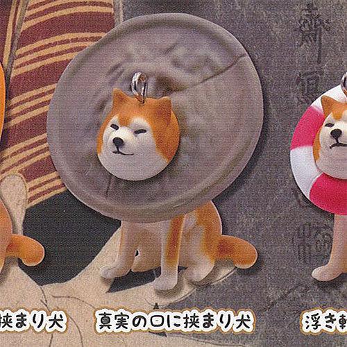 挟まり 犬 3 マスコット ボールチェーン 3 真実の口に挟まり犬 Qualia ガチャポン ガチャガチャ ガシャポン Gt03 遊you 通販 Yahoo ショッピング