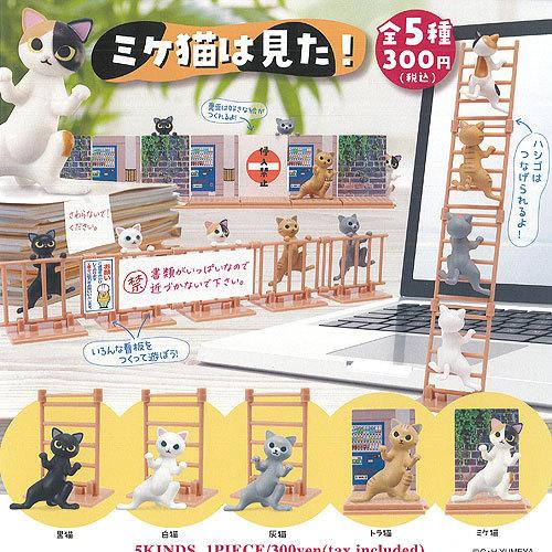 ミケ猫は見た 全5種セット 夢屋 ガチャポン ガチャガチャ ガシャポン Gws01 遊you 通販 Yahoo ショッピング