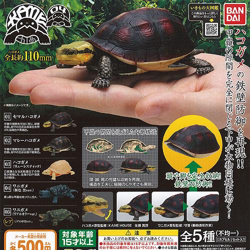 いきもの大図鑑 かめ Kame 04 レア入り 全5種セット バンダイ ガチャポン ガチャガチャ ガシャポン 限定品