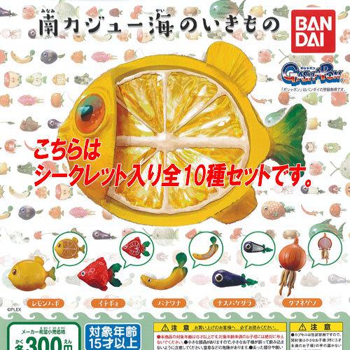 予約中 南カジュー 海のいきもの シークレット入り 全10種セット バンダイ ガチャポン ガチャガチャ ガシャポン