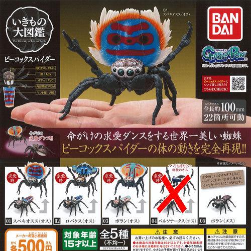 いきもの大図鑑 ピーコック スパイダー / 4種セット バンダイ ガチャポン ガチャガチャ ガシャポン｜yuyou