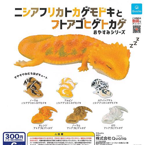 ニシアフリカトカゲモドキ と フトアゴヒゲトカゲ おやすみ シリーズ 全6種セット Qualia ガチャポン ガチャガチャ ガシャポン Gcs01 遊you 通販 Yahoo ショッピング