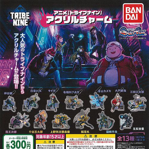 BANDAI（バンダイ） アニメ トライブナイン アクリル チャーム 全13種