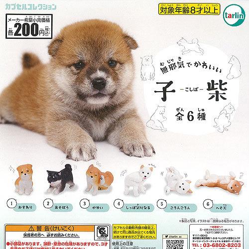 無邪気でかわいい 子柴 全6種セット ターリン インターナショナル ガチャポン ガチャガチャ ガシャポン 安心の定価販売