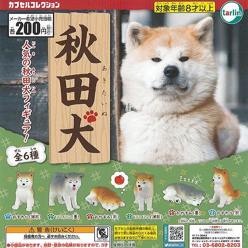 50 Off 秋田犬 全6種セット ターリンインターナショナル ガチャポン ガチャガチャ ガシャポン