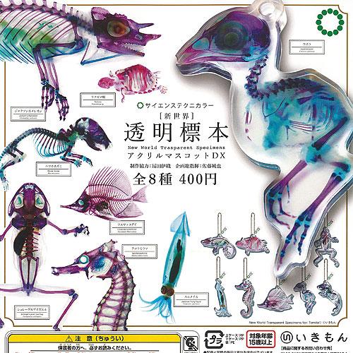 サイエンステクニカラー 新世界 透明標本 アクリル マスコット DX 全8