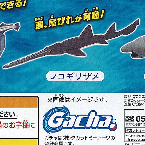 あそべる 生物フィギュア シリーズ 青き海の世界 ザ シャーク シロワニ