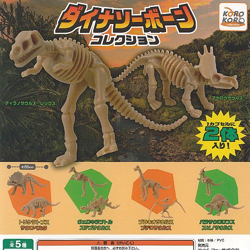 ダイナソー ボーン コレクション 全5種セット アイピーフォー