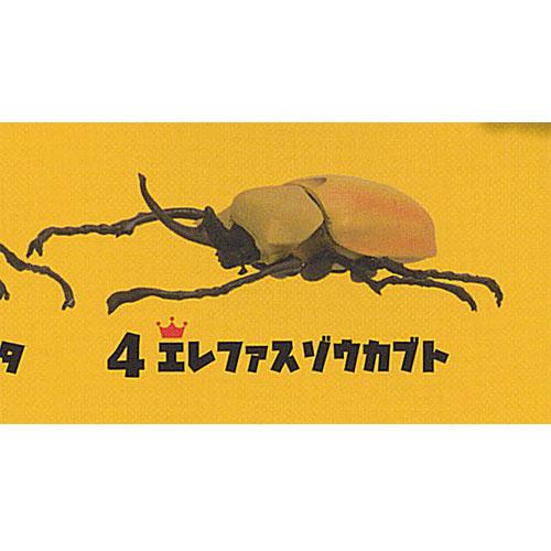 昆虫王 INSECT KING 4：エレファスゾウカブト F-toys ガチャポン ガチャガチャ ガシャポン : 遊you - 通販 ...