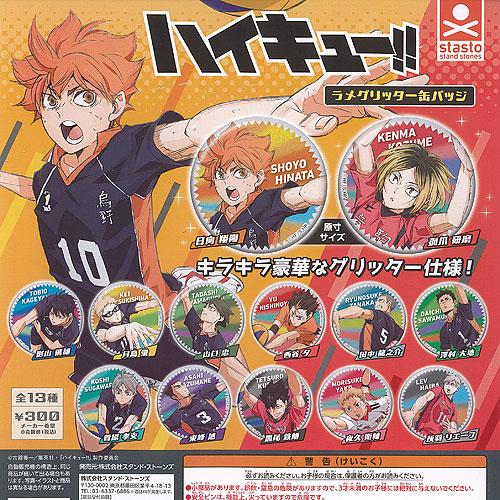 ハイキュー ラメグリッター 缶バッジ 全13種+ディスプレイ台紙 ハイキュー ラメグリッター 缶バッジ 全13種+ディスプレイ台紙