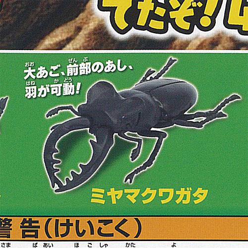 あそべる生物 フィギュア シリーズ 昆虫の森 でたぞ 4大昆虫 2
