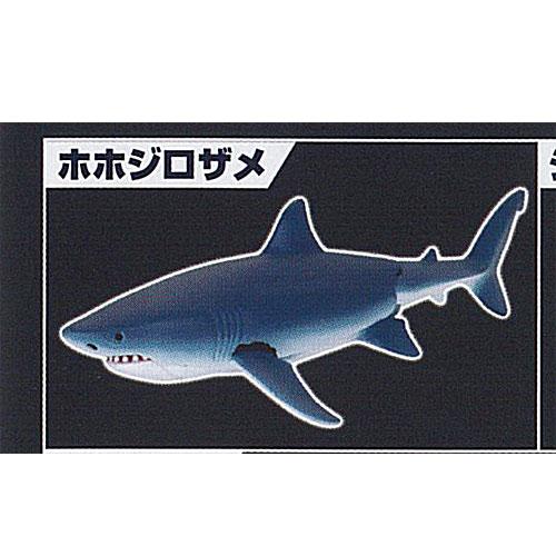 あそべる生物 フィギュア シリーズ ザ シャーク 集結 鮫のなかま 1