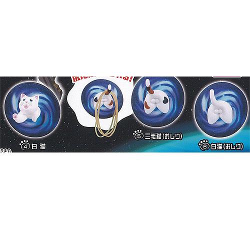 猫 宇宙に消える マグネット フック / 3種セット ターリン