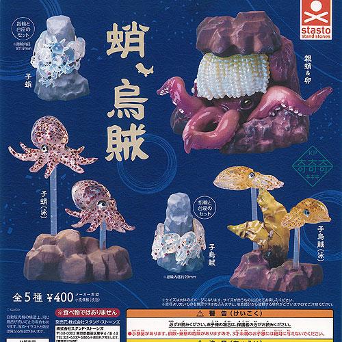 奇奇奇 蛸 烏賊 全5種+ディスプレイ台紙セット スタンドストーンズ