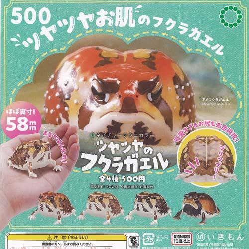 ネイチャーテクニカラー ツヤツヤの フクラガエル 全4種+ディスプレイ