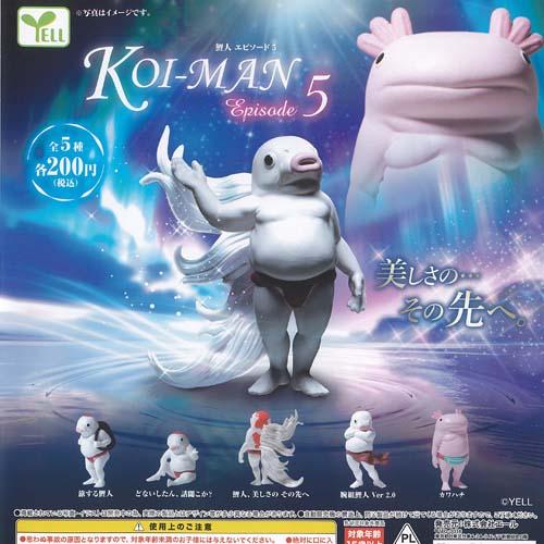 YELL KOIMAN 鯉人 エピソード 5 全5種+ディスプレイ台紙セット エール