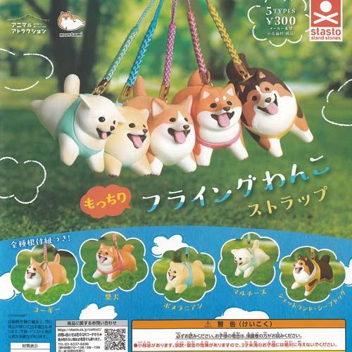 もんとみ アニマルアトラクション もっちり フライング わんこ