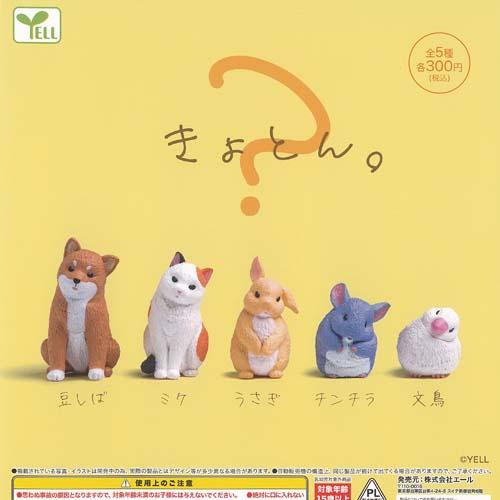 YELL きょとん 全5種+ディスプレイ台紙セット エール ガチャポン