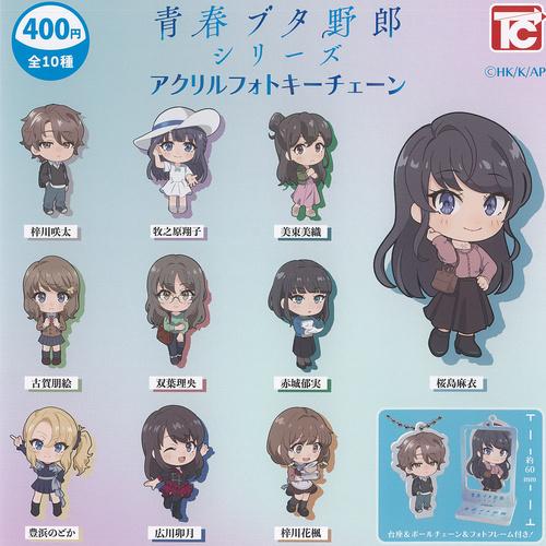 青春ブタ野郎シリーズ RR以下4コン+旧弾デッキパーツ 青春ブタ野郎 シリーズ アクリル フォト キーチェーン 全10種セット