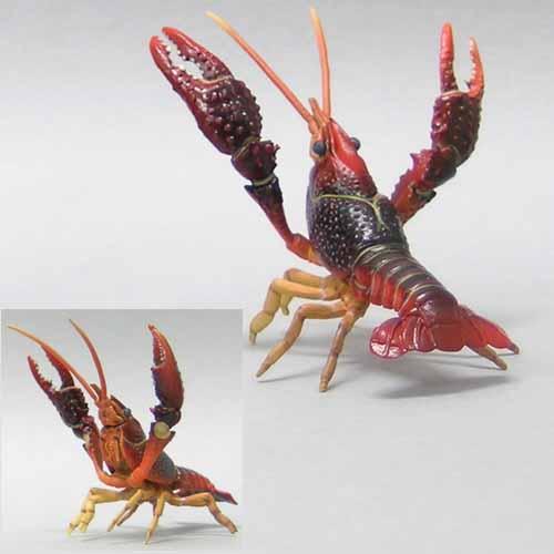 ユージン アメリカザリガニ 原色甲殻類エビ・カニ図鑑1 ユージン アメリカザリガニ 原色甲殻類エビ・カニ図鑑1