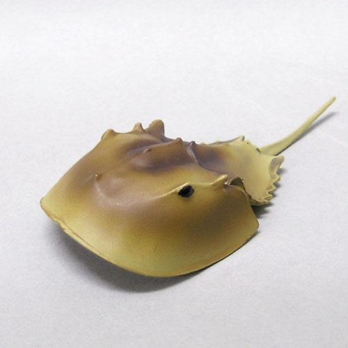 エポック社（EPOCH） カブトガニ 地球生命紀行 蟹・海老 改 ガチャポン