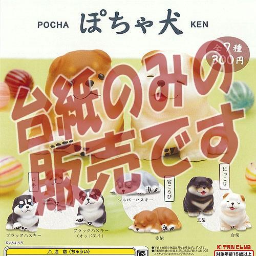 非売品ディスプレイ台紙 ぽちゃ 犬 奇譚クラブ ガチャポン ガチャガチャ ガシャポン Ndp 遊you 通販 Yahoo ショッピング