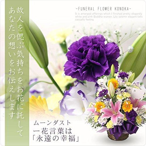 保存版 翌日配達お花屋さん お供えアレンジ 雅 翌日配達お花屋さん 花 お供え 生花 Oyostate Gov Ng
