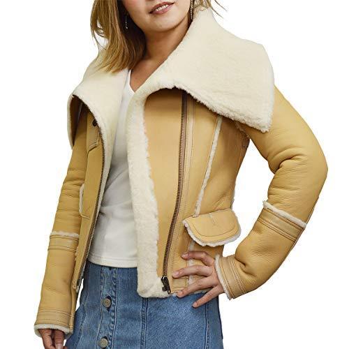 高知インター店 ムートンジャケット ムートンコート レディース 本革 レザージャケット ライダースジャケット ファー 革ジャ 完売 Www Aqtsolutions Com