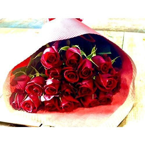 12月スーパーsale 15 Off プレゼント 結婚記念日 レッド 花束 バラ 生花 真紅 Puriza Puriza 薔薇 花 母の日 贈り物 誕生日祝い 生花 Oyostate Gov Ng