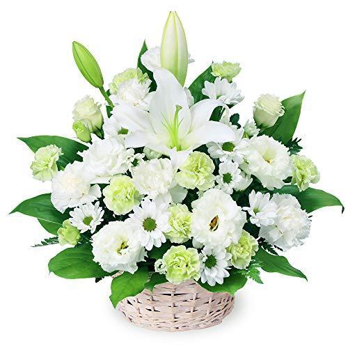 正規取扱店 仏花 花キューピット Yr00 お供え お悔やみの献花 お供えのアレンジメント 花キューピット 供花 お盆 枕花 法事 法要 生花 Www Solidarite Numerique Fr