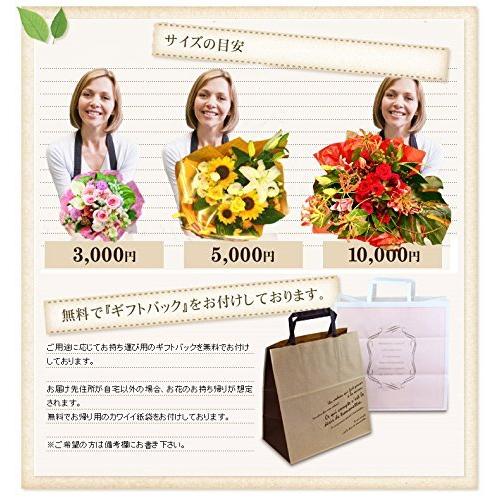 女の子向けプレゼント集結 フラワーギフト屋 胡蝶蘭 花束 バラ ブーケ ピンク おまかせ プレゼント 人気ランキング 誕生日 バレンタイン 二宮花園 生花