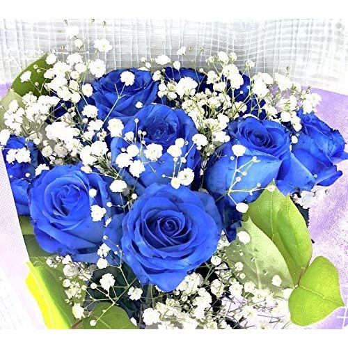 アウトレット最安価格 生花花束 青バラ 奇跡 神の祝福 プロポーズ 誕生日 記念日 花束 青いバラ花束 ベンデラ 薔薇 宅配 売上超安い Ssl Daikyogo Or Jp