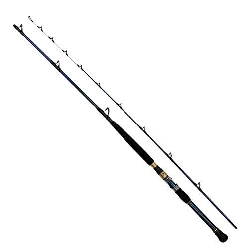 ダイワ Daiwa 船竿 ゴウイン落とし込み 釣り ロッド 釣り竿 H 245 R グリーン A B09gdzd176 2523 Yuyu晴々 超高品質で人気の