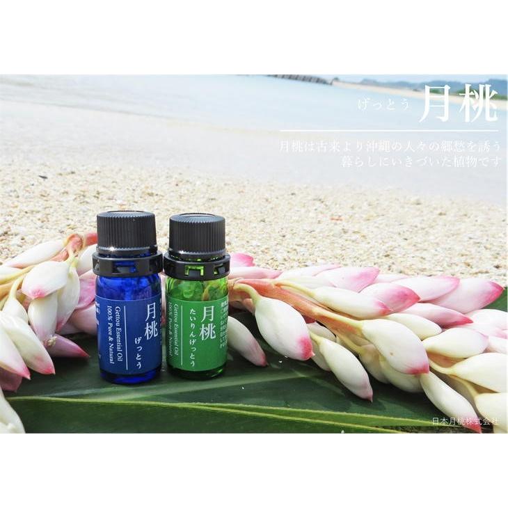 月桃 精油 エッセンシャルオイル 5ml（青）シマ月桃 日本月桃 アロマ