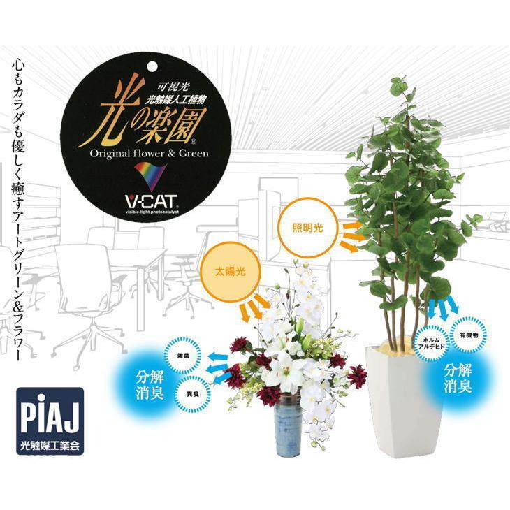 クーポン利用&送料無料 日本製 北海道宛 フェイクグリーン ウンベラ―タ