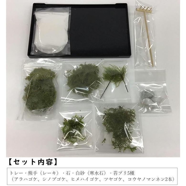 国産苔使用 苔プリ 枯山水キット ミニチュア 庭園 工作 自作 天然苔 日本庭園 和風 日本 お土産 雑貨 癒し コケ Hvj 2109 Ke 悠々本舗 通販 Yahoo ショッピング
