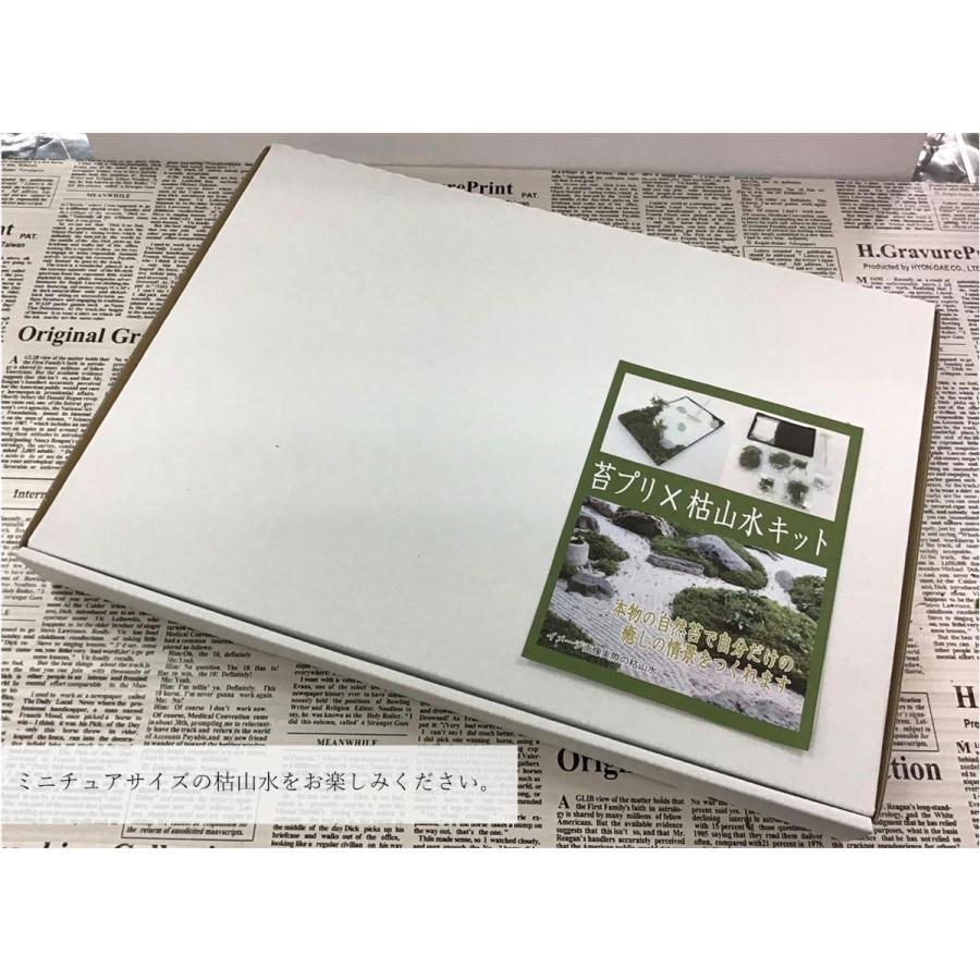 国産苔使用 苔プリ 枯山水キット ミニチュア 庭園 工作 自作 天然苔 日本庭園 和風 日本 お土産 雑貨 癒し コケ Hvj 2109 Ke 悠々本舗 通販 Yahoo ショッピング