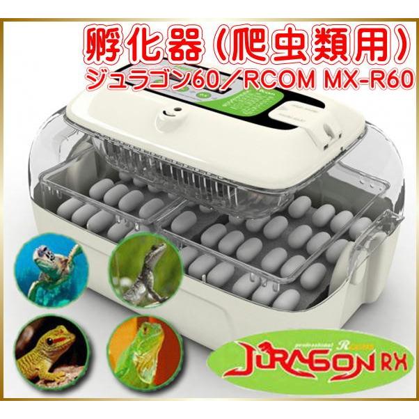 孵化器 爬虫類用 ジュラゴン60／RCOM MX-R60 ペット 動物 飼育 卵｜yuyu-honpo