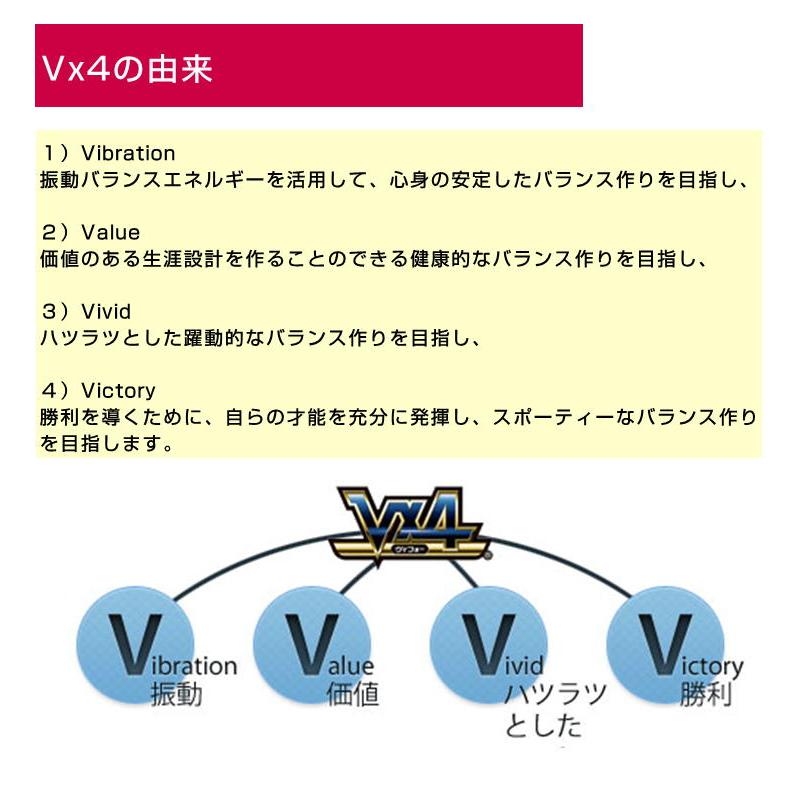 磁気ネックレス Vx4 ヴィフォー パワーネックレス ネオプラスN