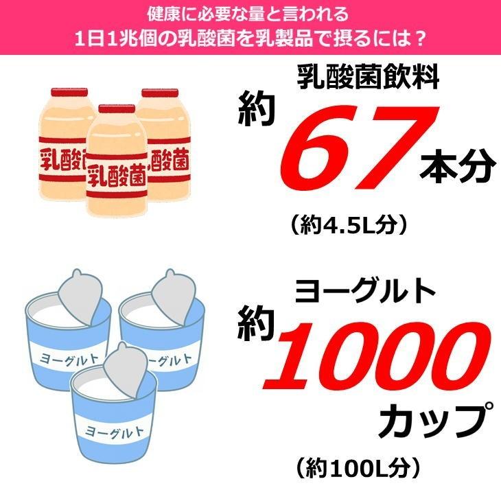 チサフェルナ 30包入り×3箱セット chisaferna ニチニチ製薬 乳酸菌含有