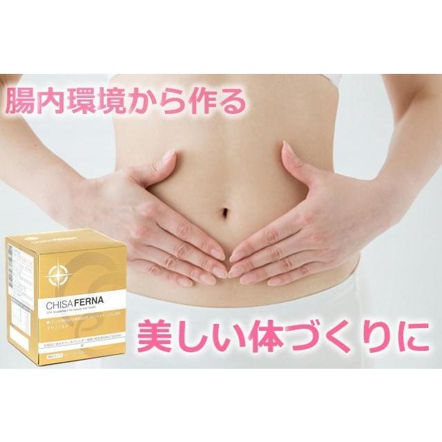 チサフェルナ 30包入り×3箱セット chisaferna ニチニチ製薬