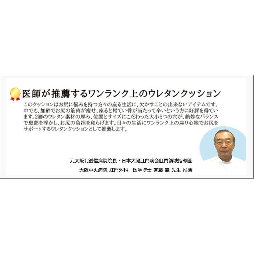 ヨックッション XO お尻快適 ハイブリッド 医学博士推奨品  5個の穴 クッション 日本製の画像
