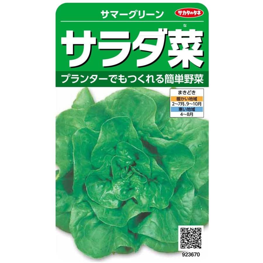 サカタのタネ 実咲野菜3670 サラダ菜 サマーグリーン 00923670